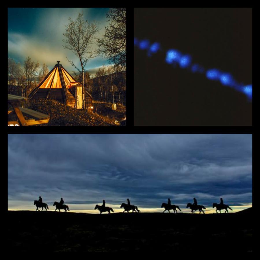 Апартаменты Hessdalen Ufocamp Varhus Экстерьер фото